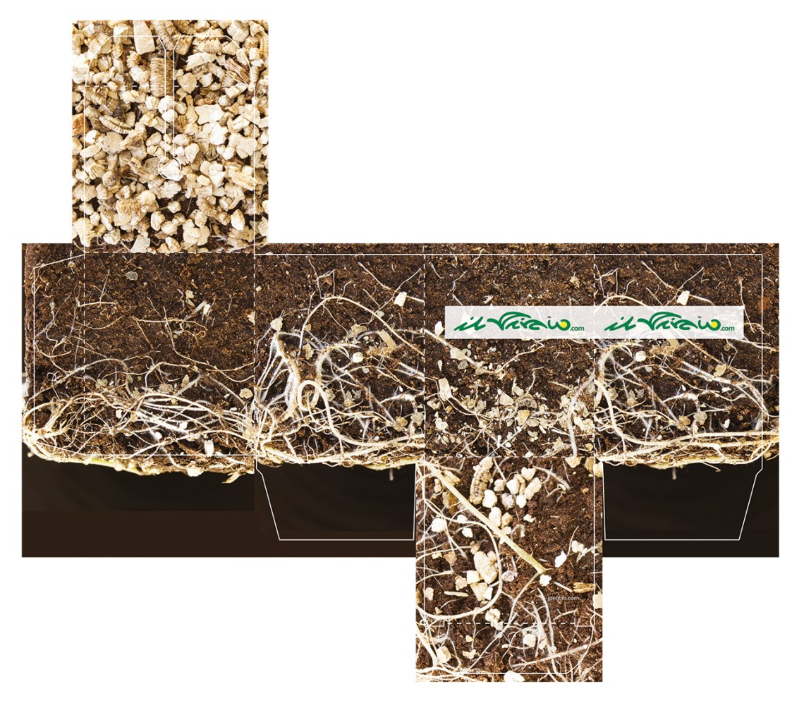 progetto packaging il vivaio